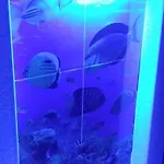 Fantástica cartagena accesible para todos